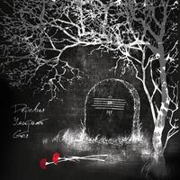 The Shining Of The Snowing Desert - Trees Die Standing